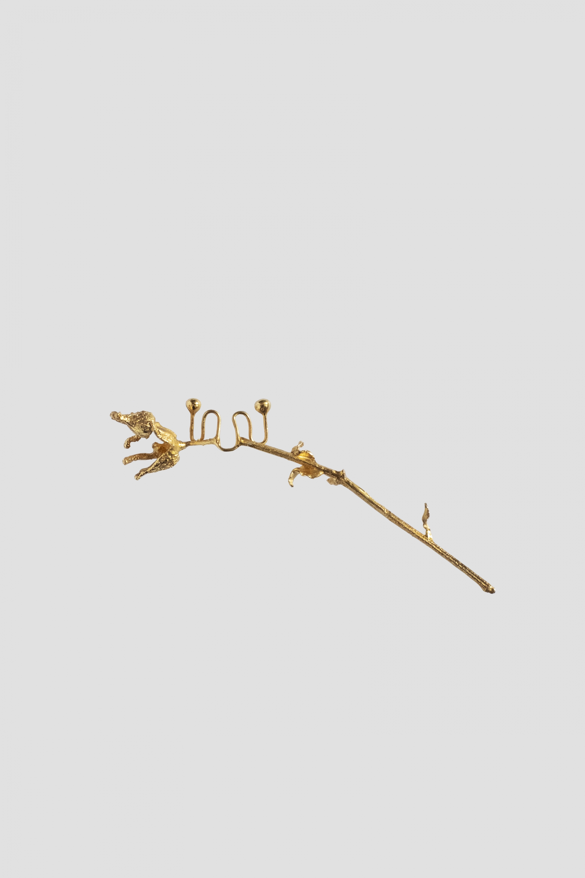 GOLD RATISH