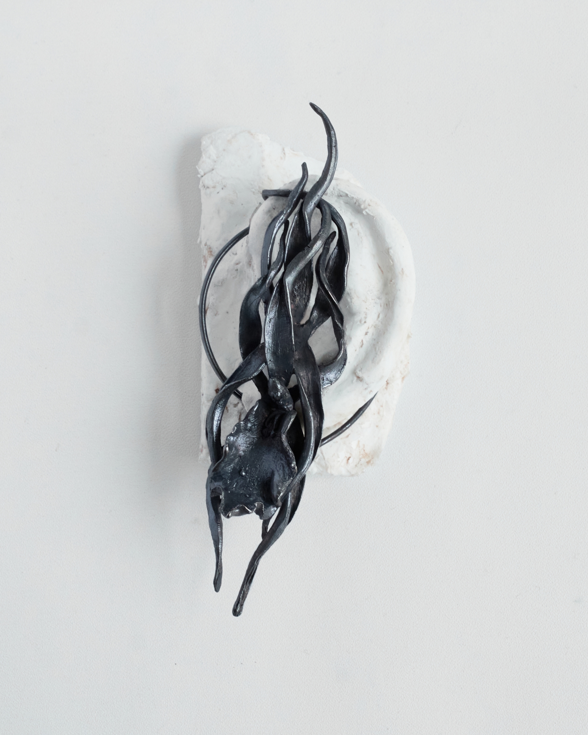 GUN METAL BRASSIA