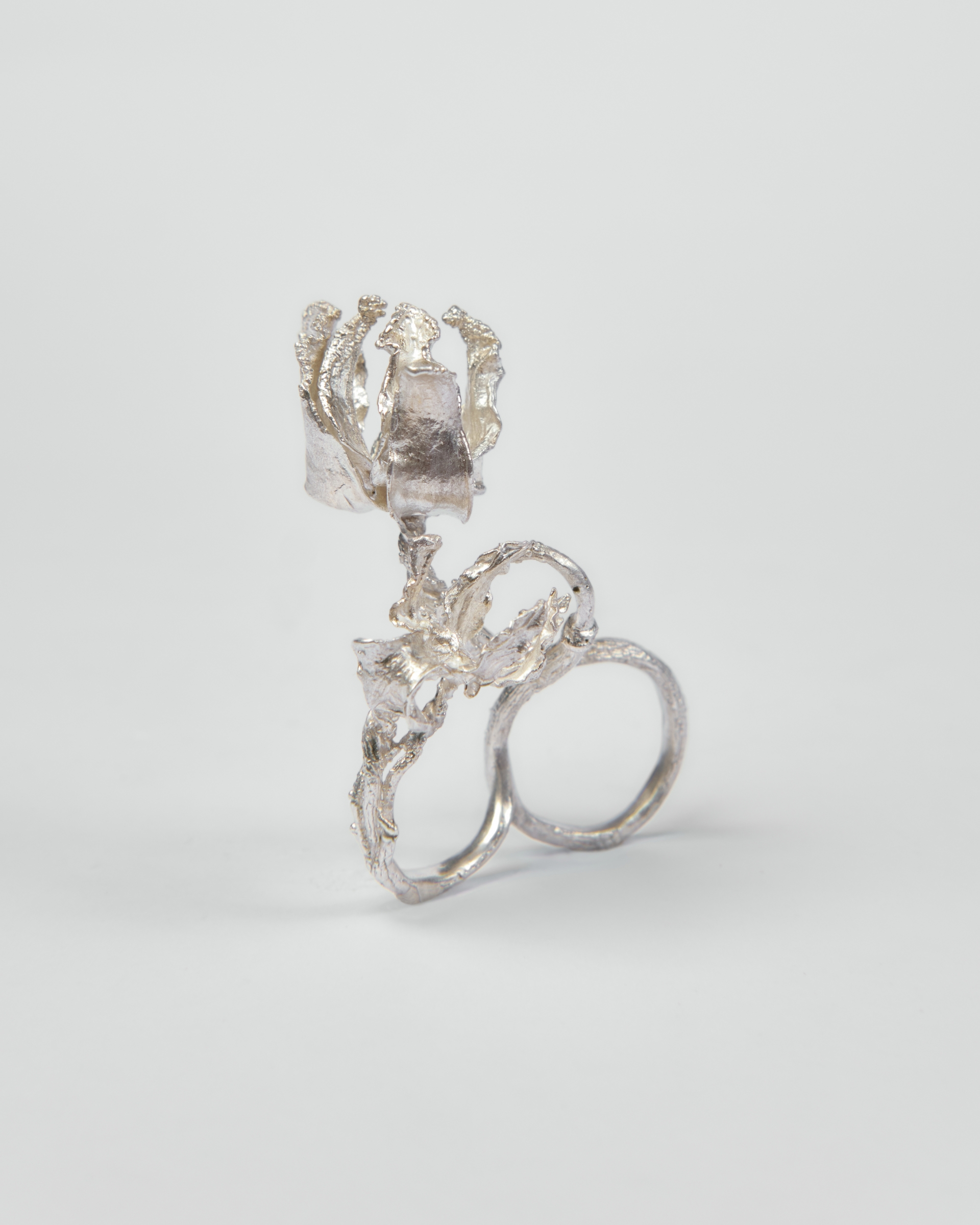 Silver Ashvini Ring