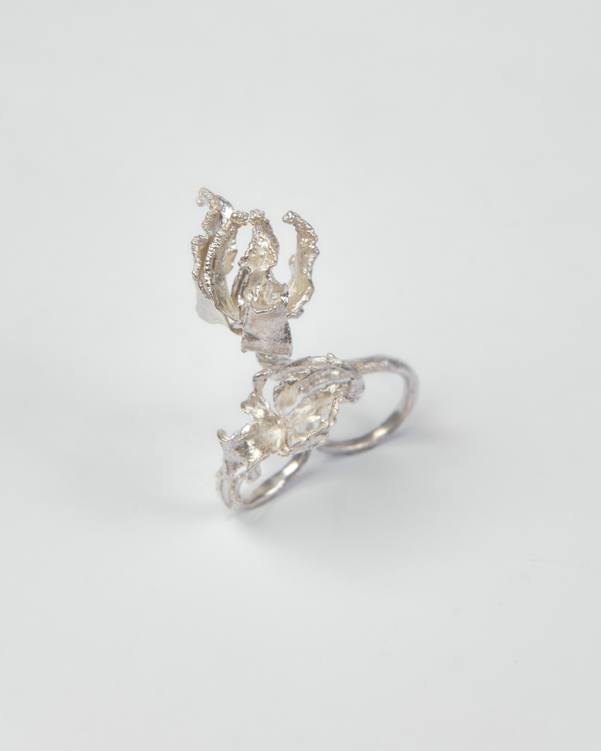 Silver Ashvini Ring