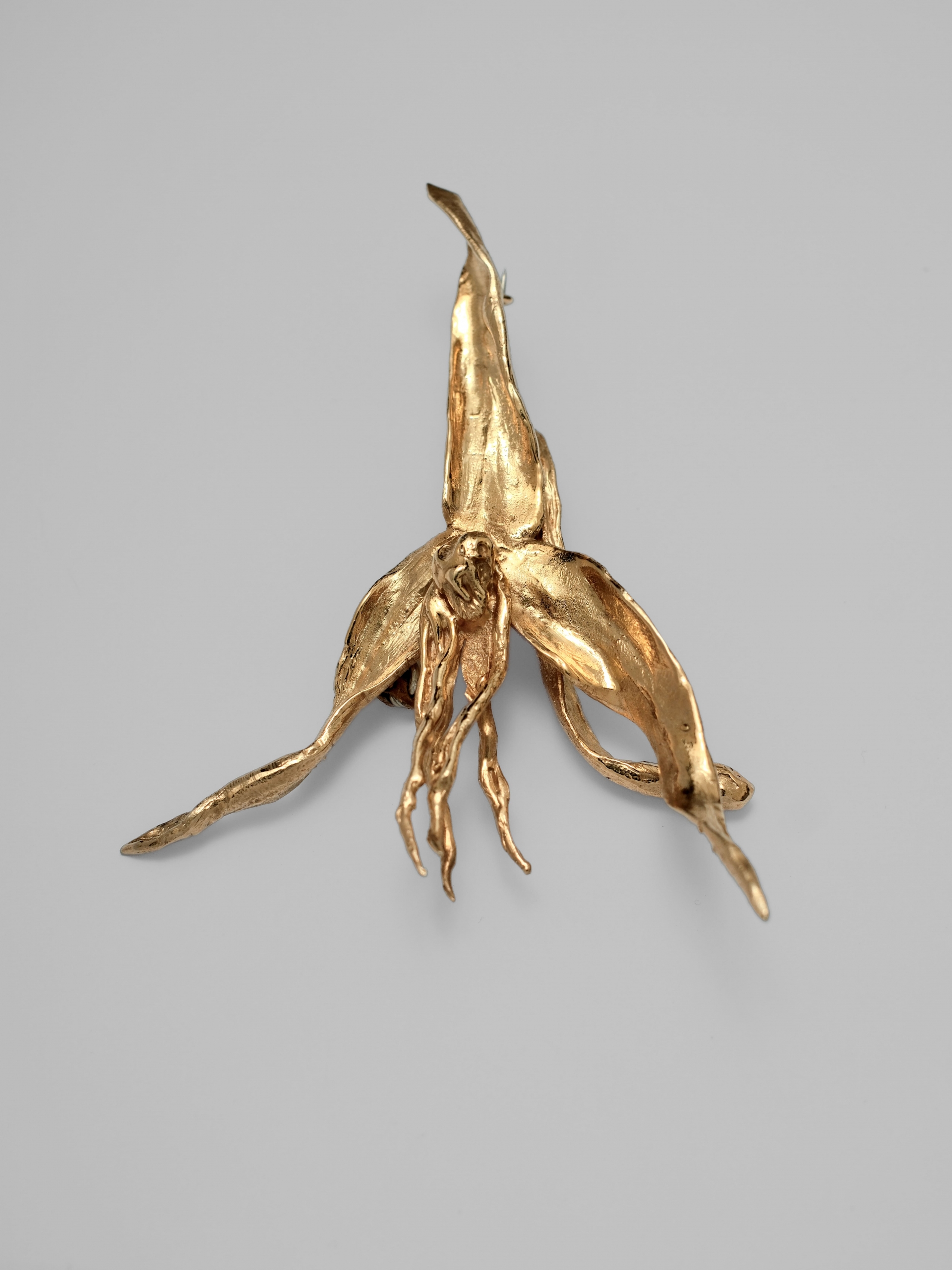 Gold Preta brooch